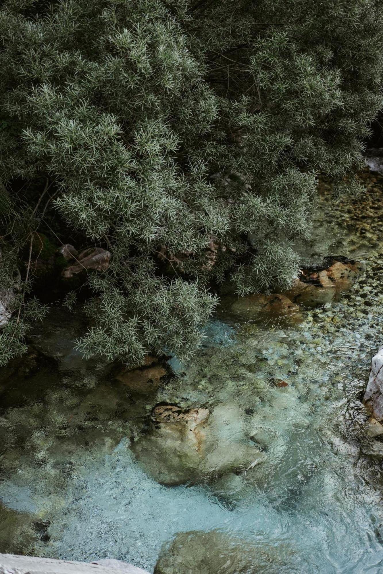Valbona Resort & Spa Dış mekan fotoğraf
